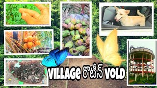 village home./పల్లెటురి/ ముక్కుపుడక చెట్టు /తెనే పట్టు /కెరల కొబ్బరి కాయలు./నిమీ కారు /వాటర్ టాంక్..