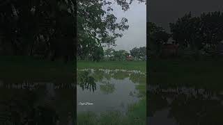 প্রকৃতির ভালোবাসা