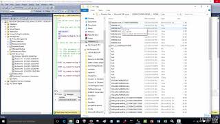 042 SQL server and agent logs