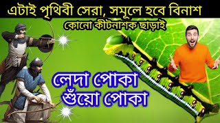 ১ মিনিটেই লেদা পোকা, শুঁয়ো পোকার খেল খতম 😭 Home made pesticicides #ledapoka #gardening #pesticides