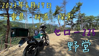 三重県　林道　探索　セロー225野営