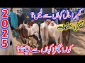 2025 Ka Mall Kaha Se Purchase Kare ?? | Cow Mandi 2024 | Cholistani Sahiwal Bachra Mandi Information