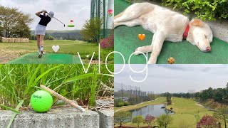 [골프vlog] 인도어가고⛳️파주클럽2200가고🏌🏼‍♂️필드나가기전 준비하는 주말브이로그🌷골프가족🧡