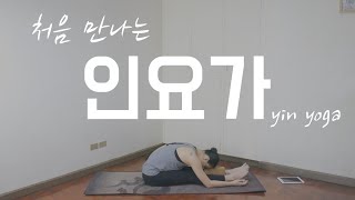 [EVA YOGA]처음 만나는 인요가 yin yoga / Lv1