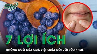 7 Lợi Ích Của Quả Việt Quất Đối Với Sức Khoẻ | SKĐS