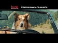 lassie. nowe przygody najwierniejsza przyjaźń ma cztery łapy kino Świat