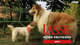 LASSIE. NOWE PRZYGODY | Najwierniejsza przyjaźń ma cztery łapy | Kino Świat