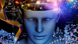 Les secrets de la conscience humaine : le cerveau en miroir - Documentaire Neurosciences - HD