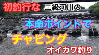 初釣行な二級河川の本命ポイントでチャビング オイカワ釣り ダイソースプーン ダイソールアーロッド