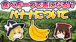 食べ方一つで毒になる!?「バナナ」について【ゆっくり解説】