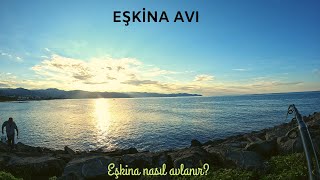 Eşkina Avı /Eşkina Nasıl Avlanır? /Eşkina Avı Teknikleri /Fishing in the Sea