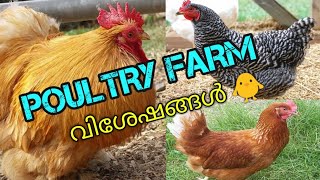 Poultry farm visit|Teekoy|കോഴി വളർത്തൽ|കോഴിക്കൂട് നിർമാണം|വിവിധ തരം കോഴികൾ|താറാവുകൾ|കരിങ്ങോഴികൾ|