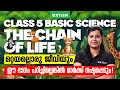 Class 5 Basic Science | Unit:  The Chain of Life - ഒറ്റയല്ലൊരു ജീവിയും | Xylem Class 5