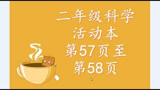 二年级科学活动本第57页 至 58页讲解