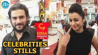 SIIMA Awards 2013 Celebrities Stills - Slideshow