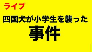 四国犬咬傷事件考えさせられますね20時よりライブ配信