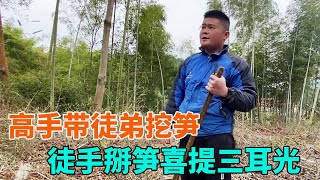 高手带徒弟挖冬笋，媳妇非要用手掰，三个耳光希望长记性【海派高手】