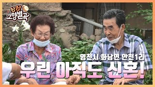 아직도 사랑이 샘솟는 부부ㅣ영천시 화남면 안천1리 [싱싱 고향별곡] [TBC-띠비띠]