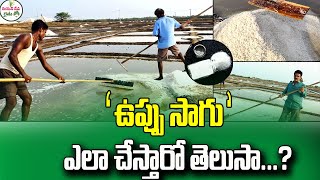 Salt Making - ఉప్పు ఎలా తయారు చేస్తారో తెలుసా | Step By Step Salt Making Process || SumanTV Rythu