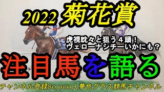 【注目馬を語る】2022菊花賞！ヴェローナシチーは「いかにも」？セントライト記念上位2頭以外の虎視眈々と楽しみな4頭をご紹介！