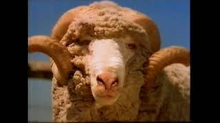 Australian Merino (Errol Full Ad)  TV advertisement shown during the Sydney 2000 Olympic Games.