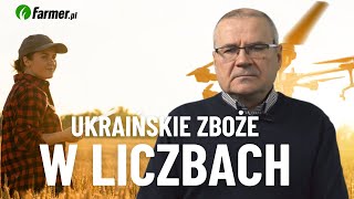 Ukraińskie zboże w liczbach | Między Brukselą a Kijowem | Farmer.pl