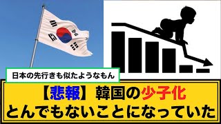 【悲報】韓国の少子化とんでもないことになっていた