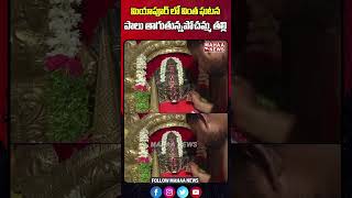 మియాపూర్ లో వింత ఘటన , పాలు తాగుతున్నపోచమ్మ తల్లి | Mahaa News