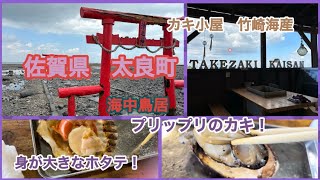 【佐賀県 太良町】  太良の海中鳥居！そしてカキ小屋で味わう太良の海の幸は美味！