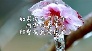 忍辱柔和是妙方　（观成法师之广结善缘2012）