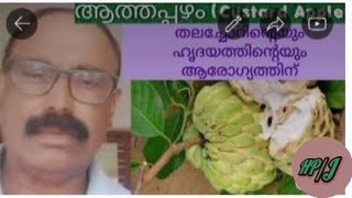 ആത്തപ്പഴം, സീതപ്പഴം  (Custard Apple ), @user-ss3yb7bjk42, ഹൃദയാരോഗ്യത്തിന്, തലച്ചോറിന്റെ ആരോഗ്യം