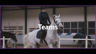 Working with a geographically distributed team