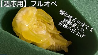 【フルオペ】規格外モンスターと闘う！