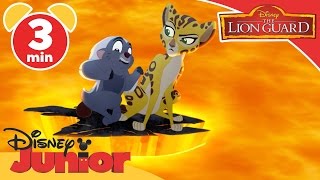 The Lion Guard | Fuli's New Family | Disney Junior UK