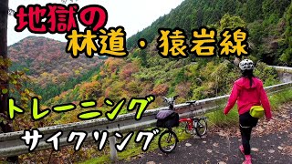 地獄の林道・猿岩線をトレーニング～奥武蔵グリーンライン周回コース～　#サイクリング#ヒルクライム