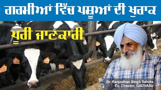 ਪਸ਼ੂਆਂ ਲਈ ਗਰਮੀਆਂ ਦੀ ਖੁਰਾਕ : ਪੂਰੀ ਜਾਣਕਾਰੀ  I  Summer Diet Plan for Dairy Animals  !