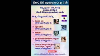 ඔයාට වැදගත් කැරුණු ටිකක් අනිවාර්යයෙන් බලන්න \