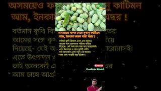 বারোমাসি আম || #ভাইরাল #trending #shortvideo #বারোমাসি #আম #কৃষি #কৃষক #বাস্তবতা #গ্রামীণজীবন