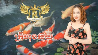 ត្រីហុងស៊ុយ