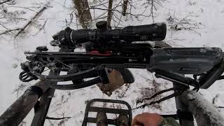 TenPoint Crossbow/Tua Hneev Nti, Caij Los Snow. 12/23/2024.