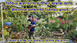 কীটনাশক ফাঙ্গিসাইড ভিটামিন ব্যবহার না করে প্রত্যেকটা গাছ নজর কাড়বে মালদা সিন্টু দার ছাদবাগান দেখলে