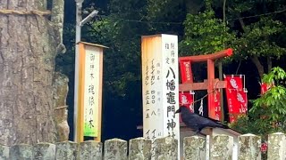 鬼滅の刃の聖地 八幡竈門神社で魂依の木に癒しをもらいました