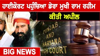 Breaking News : High Court ਪਹੁੰਚਿਆ ਡੇਰਾ ਮੁਖੀ Ram Rahim, ਕੀਤੀ ਅਪੀਲ | D5 Channel Punjabi