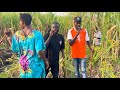 OJ Maxwell TooK Us To The Biggest Sugarcane Plantation in Nwoya District #sugarcanefarming