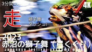 赤沼の獅子舞 2023 春日部の祭り【猛ダッシュ(失敗したら凶作だ)弓くぐり】日本の祭り 春日部散歩 2023.7.25 vlog=japanese festival