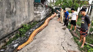 Detecting Traces Of The World's Largest Snake | Fishing TV