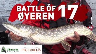 Battle of Øyeren 17 - Gjeddefiske - Villmarksbutikken vs Pikewallis