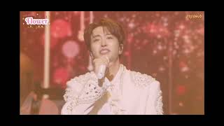 Flower​ -​영재​  [LIVE​: YOUNGJAE​ ONCE​ IN​ A​ DREAM​ In​ SEOUL​]​