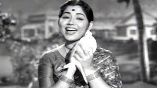 Manchi Manasulu Songs - Oho Oho Pavurama - Akkineni Nageswara Rao, Savitri, Showkar Janaki