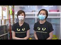 【一日義工體驗】到 lap 領養中心學做貓義工！探訪可愛待領養貓咪｜smart pet pet